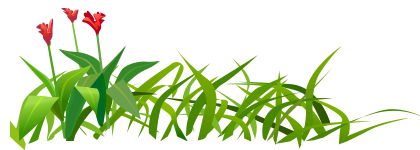 Cartoon grass graphic with flowers